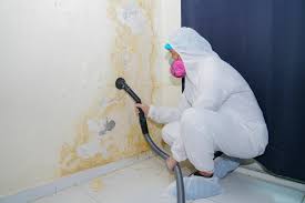 Professional Mold Removal & Remediation in Manchester, VA